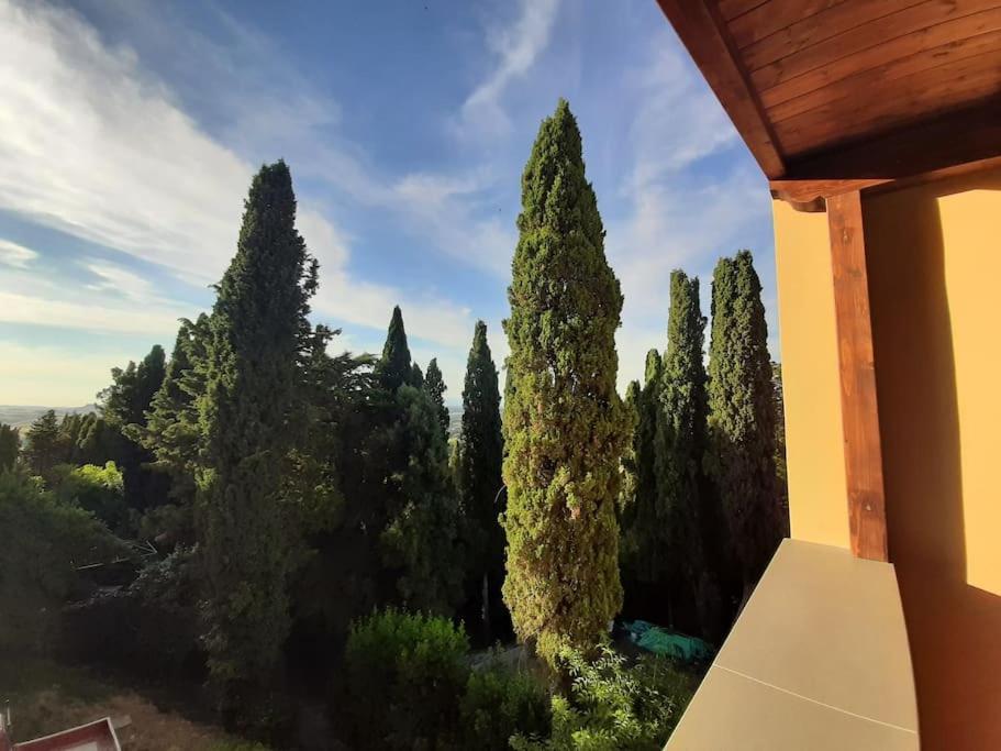 Lajatico Rentals - Terrazza Sul Tramonto Del Silenzio ภายนอก รูปภาพ